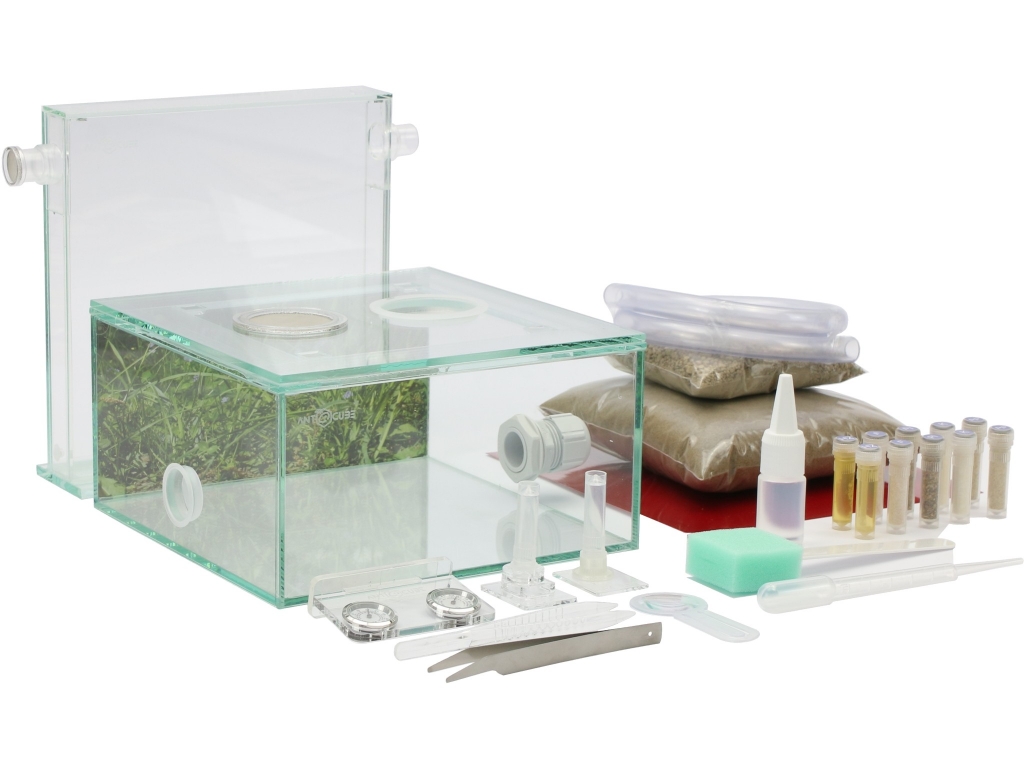 ANTCUBE Starter Kit L - 20x20 - Meadow